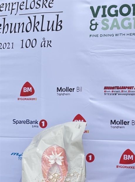 Lellogårdens Fanny 
HP BIR valp 21.05.2022